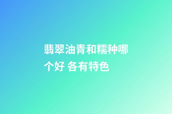 翡翠油青和糯种哪个好 各有特色